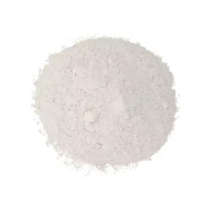 Polvo de Hornear x 500 g